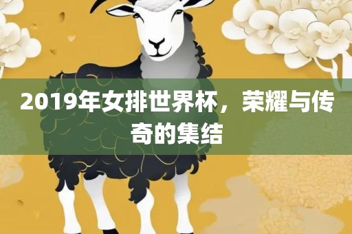 2019年女排世界杯，荣耀与传奇的集结洛阳市法福文化传播有限公司