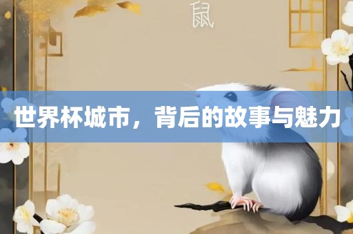世界杯城市，背后的故事与洛阳市法福文化传播有限公司魅力