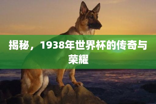 揭秘，1938年世界杯的传奇与荣耀