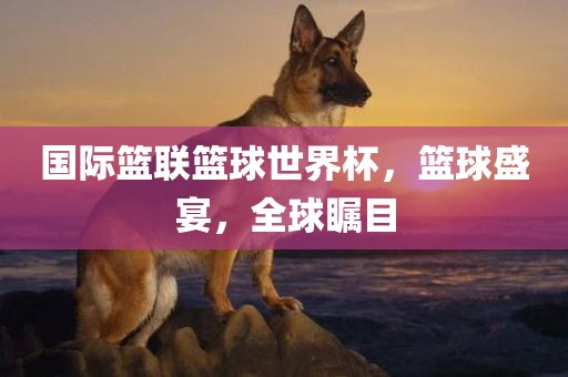 国际篮联篮球世界杯，篮球盛宴，全球瞩目洛阳市法福文化传播有限公司