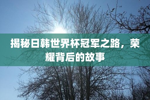 揭秘日韩世界杯冠军之路，荣耀背后的故事
