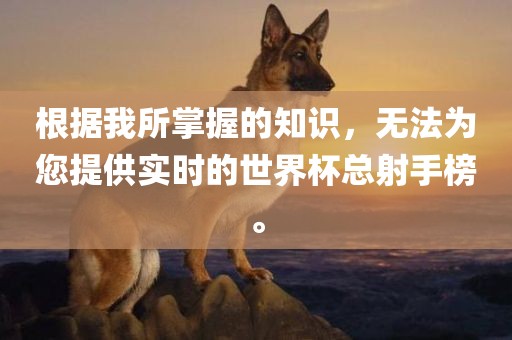 根据我所掌握的知识，无法为您提供实时的世界杯总射手榜。洛阳市法福文化传播有限公司