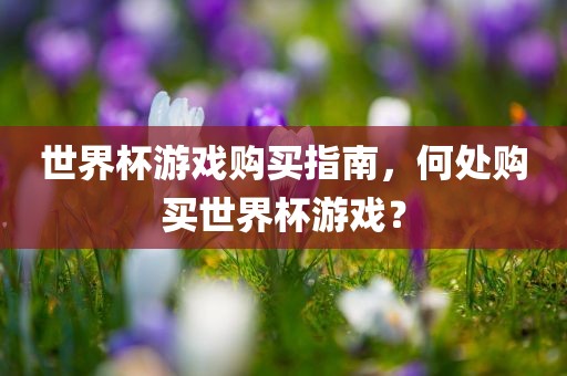 世界杯游戏购买指南，何处购买世界杯游戏？