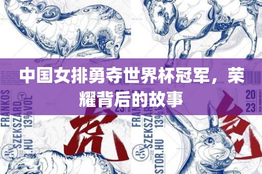 中国女排勇夺世界杯冠军，荣耀背后的故事