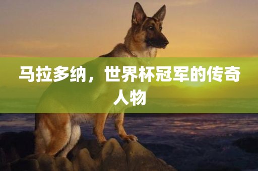 马拉多纳，世界杯冠军的传奇人物