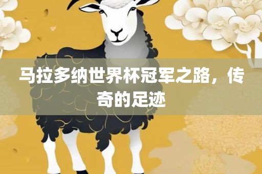 马拉多纳世界杯冠军之路，传奇的足迹