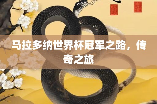马拉多纳世界杯冠军之路，传奇之旅