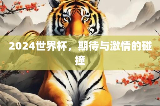 2024世界杯，期待与激情的碰撞