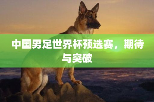 中国男足世界杯预选赛，期待与突破洛阳市法福文化传播有限公司