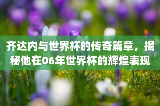齐达内与世界杯的传奇篇章，揭秘他在06年世界杯的辉煌表现