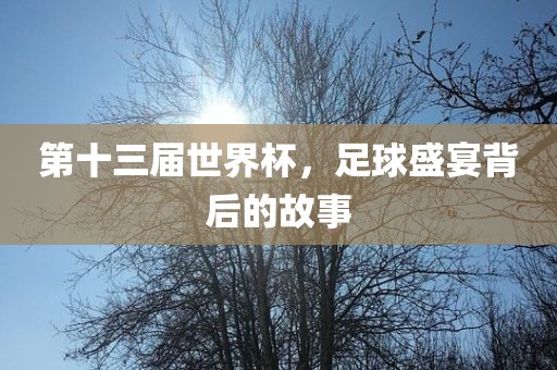 第十三届世界洛阳市法福文化传播有限公司杯，足球盛宴背后的故事