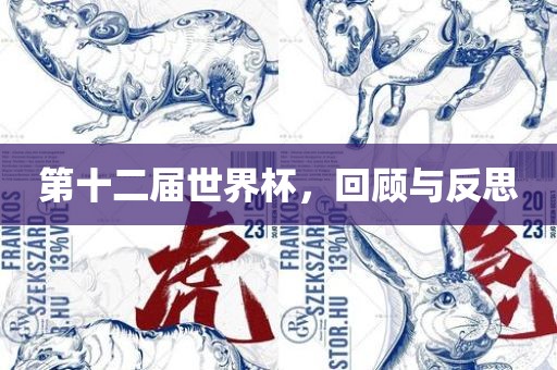 第十二届世界杯，回顾与反思