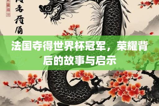 法国夺得世界杯冠军，荣耀背后的故事与启示