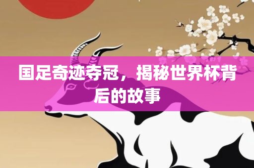 国足奇迹夺冠，揭秘世界杯背后的故事洛阳市法福文化传播有限公司