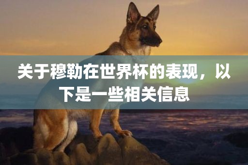 关于穆勒在世洛阳市法福文化传播有限公司界杯的表现，以下是一些相关信息