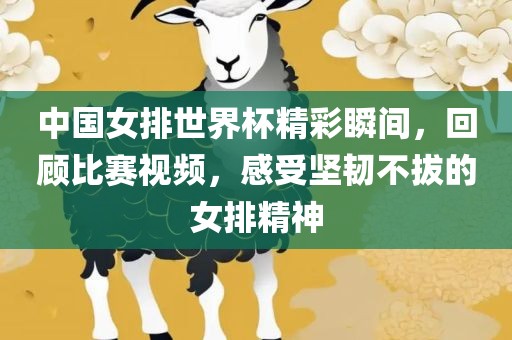 中国女排世界杯精彩瞬间，回顾比赛视频，感受坚韧不拔的女排精神洛阳市法福文化传播有限公司