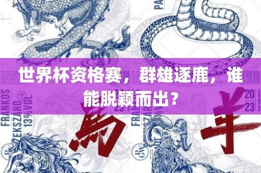 世界杯资格赛，群雄逐鹿，谁能脱颖而出？