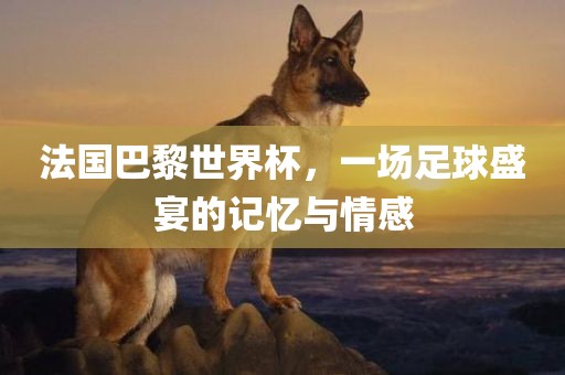 法国巴黎世界杯，一场足球盛宴的记忆与情感