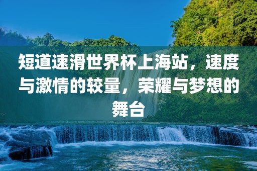 短道速滑世界杯上海站，速度与激情的较量，荣耀与梦想的舞台