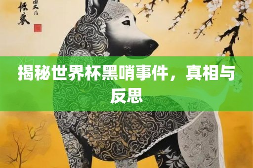 揭秘世界杯黑哨事件，真相与反思