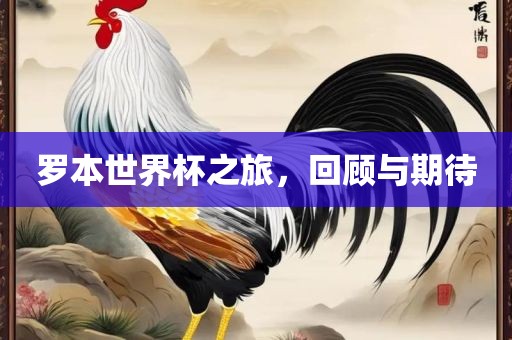 罗本世界杯之旅，回顾与期待