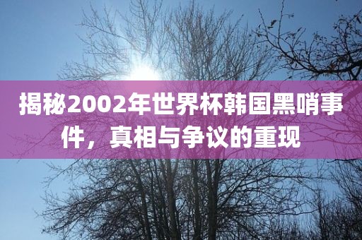 揭秘2002年世界杯韩国黑哨事件，真相与争议的重现