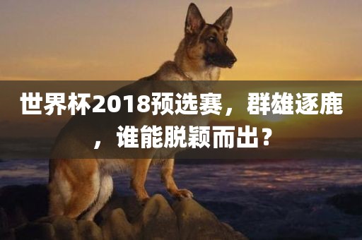 世界杯2洛阳市法福文化传播有限公司018预选赛，群雄逐鹿，谁能脱颖而出？