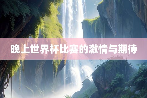 晚上世界杯比赛的激情与期待