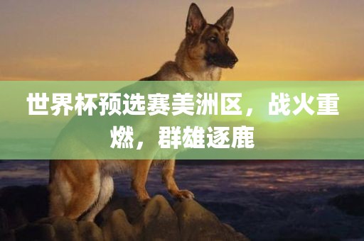 世界杯预选赛美洲区，战火重燃，群雄逐鹿洛阳市法福文化传播有限公司