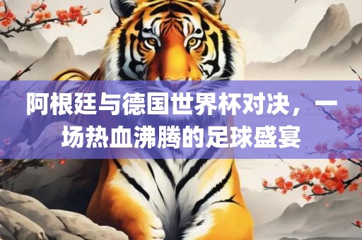阿根廷与德国世界杯对决，一场热血沸腾的足球盛宴