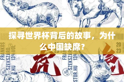 探寻世界杯背后的故事，为什么中国缺席？