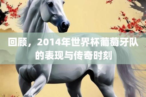 回顾，2014年世界杯葡萄牙队的表现与传奇时刻