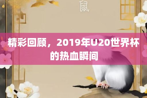 精彩回顾，2019年U20世界杯的热血瞬间