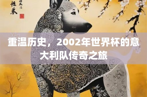 重温历史，2002年世界杯的意大利队传奇之旅