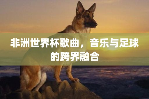 非洲世界杯歌曲，音乐与足球的跨界融合