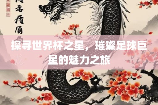 探寻世界杯之星，璀璨足球巨星的魅力之旅