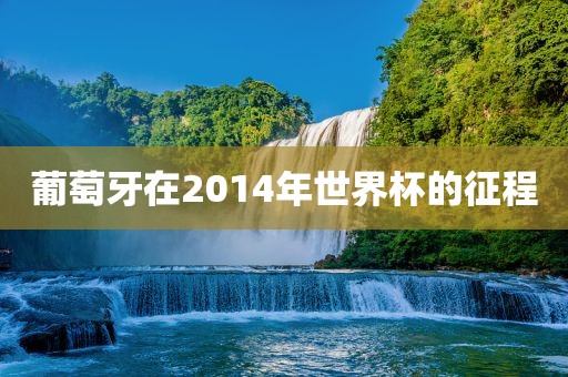 葡萄牙在2014年世界杯的征程
