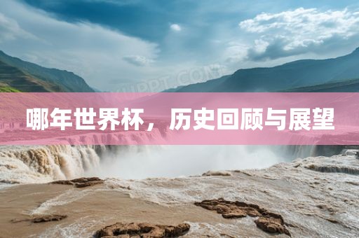 哪年世界杯，历史回顾与展望