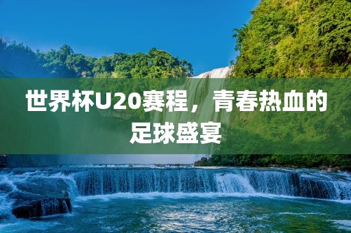 世界杯U20赛程，青春热血的足球盛宴