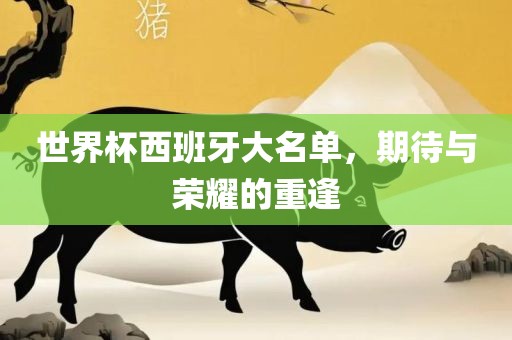 世界杯西班牙大名单，期待与荣耀的重逢