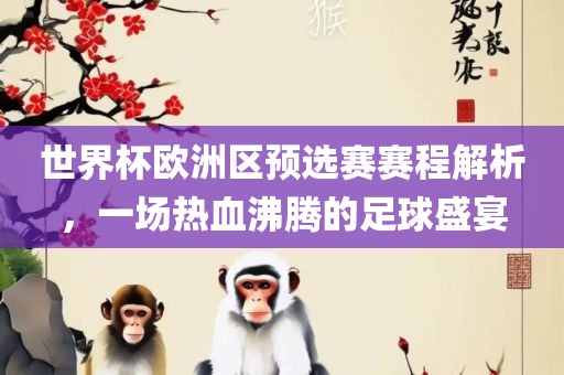 世界杯欧洲区预选赛赛程解析，一场热血沸腾的足球盛宴