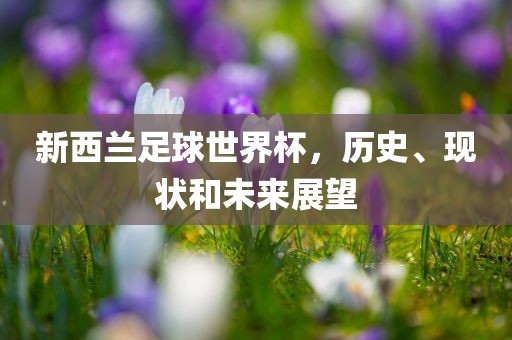 新西兰足球世界杯，历史、现状和未来展望