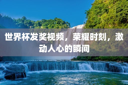 世界杯发奖视频，荣耀时刻，激动人心的瞬间