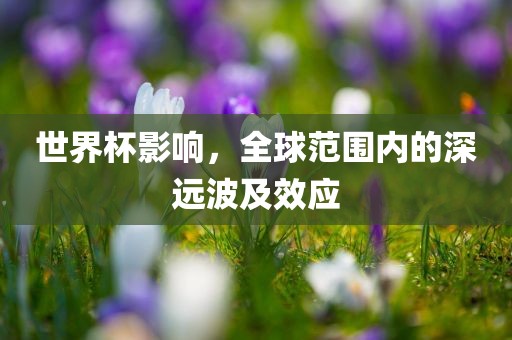 世界杯影响，全球范围内的深远波及效应洛阳市法福文化传播有限公司