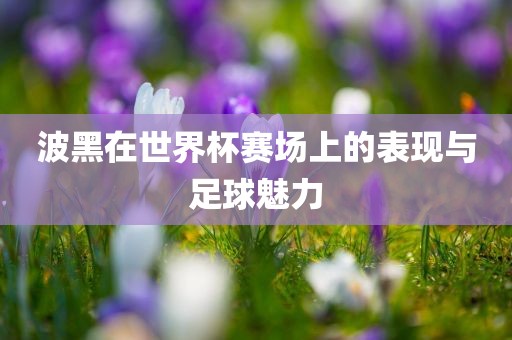 波黑在世界杯赛场上的表现与足球魅力