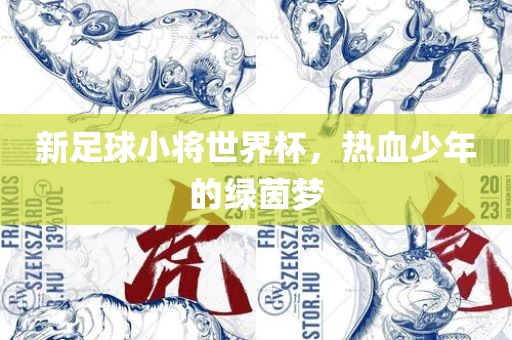 新足球小将世界杯，热血少年的绿茵梦