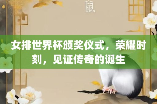 女排世界杯颁奖仪式，荣耀时刻，见证传奇的诞生