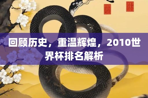 回顾历史，重温辉煌，2010世界杯排名解析