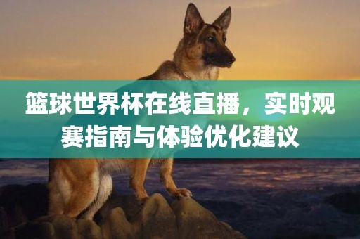 篮球世界杯在线直播，实时观赛指南与体验优化建议洛阳市法福文化传播有限公司