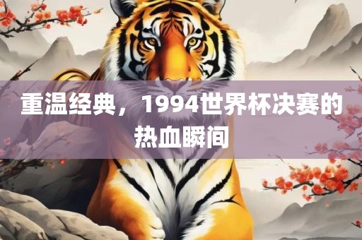 重温经典，1994世界杯决赛的热血瞬间洛阳市法福文化传播有限公司